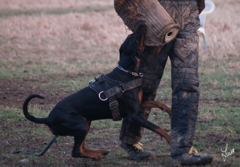 Black Treasure Opera - training 1/2007